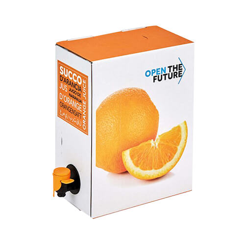 Fruit Juice Bag in Box 8